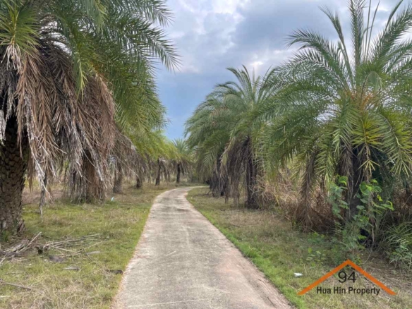 SL94119 Beautiful large plot of land in Nong Phai, Tabtai HuaHin. 17 km. to HuaHin town.